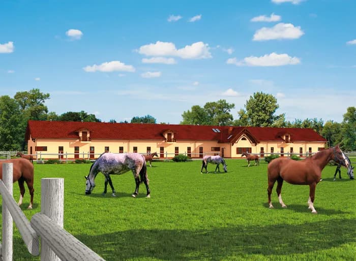 Ile kosztuje budowa stajni? Oszczędź nawet 30% na inwestycji Ile kosztuje budowa stajni? Oszczędź nawet 30% na inwestycji