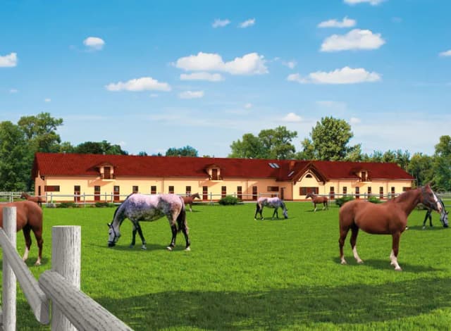 Ile kosztuje budowa stajni? Oszczędź nawet 30% na inwestycji Ile kosztuje budowa stajni? Oszczędź nawet 30% na inwestycji
