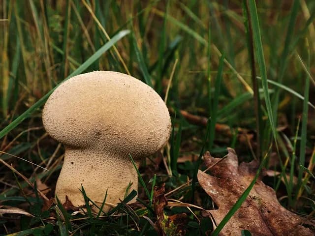 Ile worków zaprawy zmieści się na palecie? Praktyczny poradnik budowlańca Ile worków zaprawy zmieści się na palecie? Praktyczny poradnik budowlańca